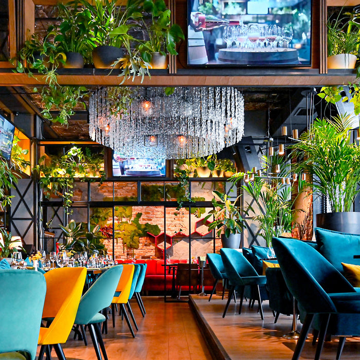 Eco-Friendly Initiatives: How Your Restaurant Can Go Green This Year