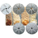 Sirman 40752558W6 TM A6 Continuous Feed Food Processor with 6 Pack Plates - Top Restaurant Supplies